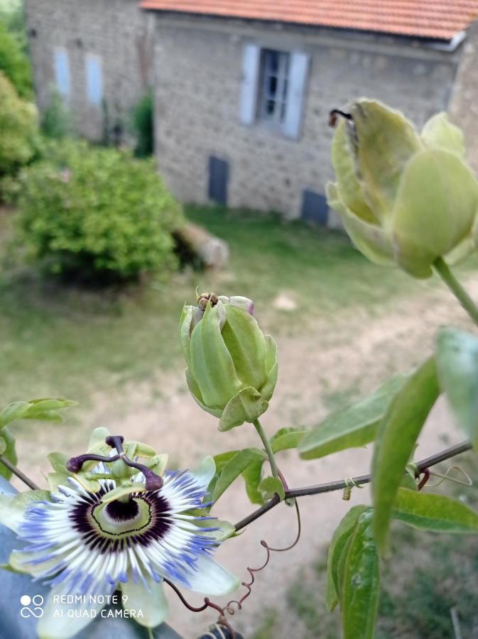 Boulieu-les-AnnonayFerme De Fenivou别墅 外观 照片