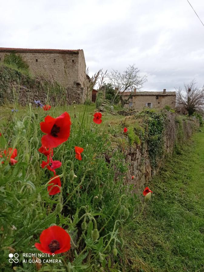 Boulieu-les-AnnonayFerme De Fenivou别墅 外观 照片
